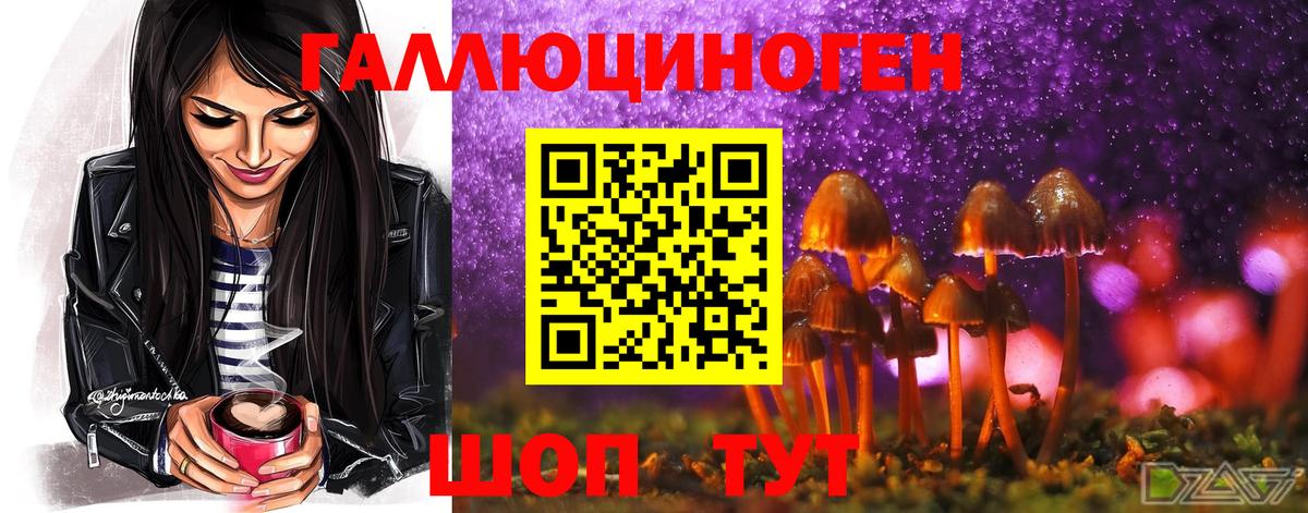 Псилоцибиновые грибы ЛСД Ишимбай